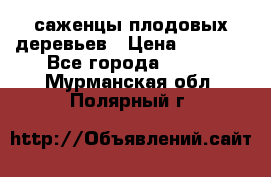 саженцы плодовых деревьев › Цена ­ 6 080 - Все города  »    . Мурманская обл.,Полярный г.